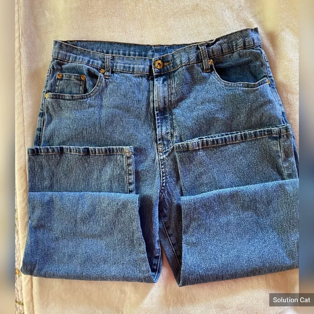 DG2 Vintage jeans by Diane Gilman Size 16